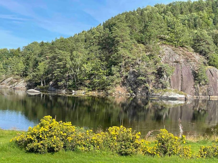 Bosvik Gard, Nyrenovert Leilighet I Hovedhus Fra 1756 Risør エクステリア 写真