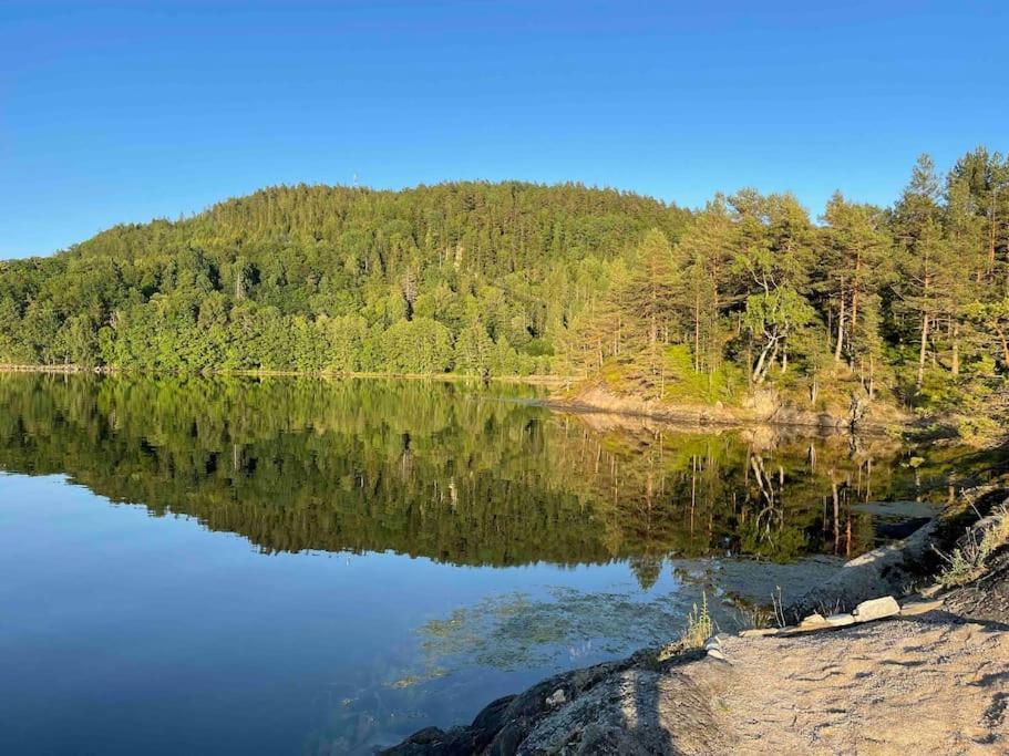 Bosvik Gard, Nyrenovert Leilighet I Hovedhus Fra 1756 Risør エクステリア 写真